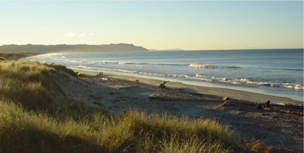 Apartmán Two Bare Feet Waihi Exteriér fotografie